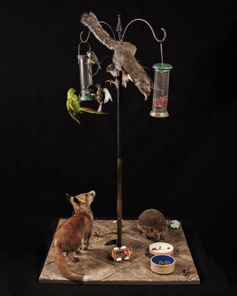 ‘Life in a Garden’ Diorama form The Booth Museum of Natural History (Photo by Laurence Dean)